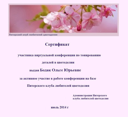 Сертификат по тонированию Ольги Бодак