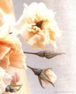 Маленькие бутоны для розы в японской технике цветоделия. Часть 1